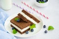 Chocolate cake with milk cream filling on a white plate with fresh blueberries and mint leaves with two bottles of milk and tubes Royalty Free Stock Photo