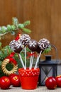 Chocolate cake pops in christmas setting Royalty Free Stock Photo