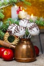 Chocolate cake pops in christmas setting Royalty Free Stock Photo