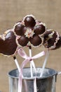 Chocolate cake pops in flower shape