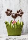 Chocolate cake pops in flower shape, lavishly decorated with col