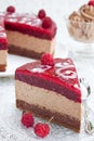 Chocolate cake with raspberry jelly