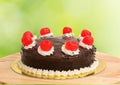 Chocolate cake with red cheery