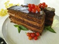 Chocolate cake, red currant, mint, flower flavor portion creamy biscuit flavor summer plate on white wooden