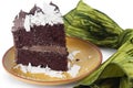 Chocolate Cake Royalty Free Stock Photo