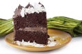 Chocolate Cake Royalty Free Stock Photo