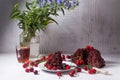 Chocolate cake with sweet cherry, cup of tea and bouquet of blue flowers on white background Royalty Free Stock Photo