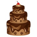 Chocolate Cake Vector Illustration with roses and cherry