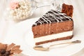 Chocolate cake on the white plate Royalty Free Stock Photo