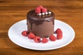 Chocolate Cake on White Plate Decorated with Raspberries #2 Royalty Free Stock Photo