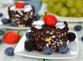 Chocolate cakes with berries Royalty Free Stock Photo