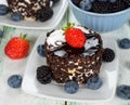 Chocolate cakes with berries Royalty Free Stock Photo