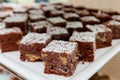 Chocolate cakes with nuts on a plate Royalty Free Stock Photo