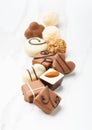 Chocolate candies assortie. Elegant composition of sweets with different fillings.