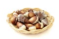 Chocolate candy shaped sea shells Royalty Free Stock Photo