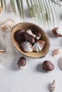 chocolate candy shell shape Royalty Free Stock Photo