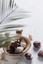 Chocolate candy shell shape Royalty Free Stock Photo