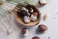 Chocolate candy shell shape Royalty Free Stock Photo