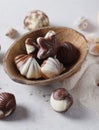 Chocolate candy shell shape Royalty Free Stock Photo