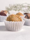 Chocolate candy truffles close-up on a white background. Royalty Free Stock Photo