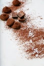 Chocolate candy truffles. Tasty confectionery collection.
