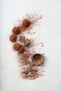 Chocolate candy truffles. Tasty confectionery collection.