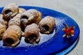 Chocolate cannoli. Italian chocolate sweets on blue plate and white background Royalty Free Stock Photo