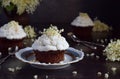 Chocolate capcakes with vanilla cream sprinkled with white chocolate and elderberry flowers. Vintage style. Copy space Royalty Free Stock Photo