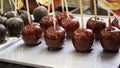 Chocolate Caramel Apples