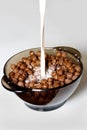 Chocolate cereal with milk