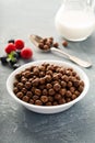 Chocolate cereals in a white bowl Royalty Free Stock Photo