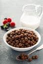 Chocolate cereals in a white bowl Royalty Free Stock Photo