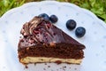 Chocolate cheese cake on white plate Royalty Free Stock Photo