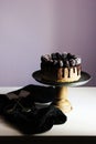 Chocolate cheesecake Royalty Free Stock Photo