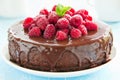Chocolate cheesecake with raspberries Royalty Free Stock Photo