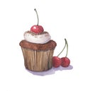 Chocolate and cherry cake. Hand drawn illustration. Royalty Free Stock Photo