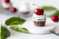 Chocolate Cherry cupcake white green leafes red