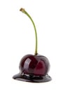 Chocolate cherry Royalty Free Stock Photo