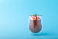 Chocolate Chia pudding decorated with strawberry on blue background Royalty Free Stock Photo