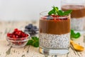 Chocolate Chia Pudding Dessert with blueberries Royalty Free Stock Photo