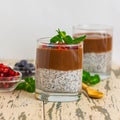 Chocolate Chia Pudding Dessert with blueberries Royalty Free Stock Photo