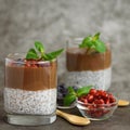 Chocolate Chia Pudding Dessert with blueberries. Close up Royalty Free Stock Photo