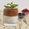 Chocolate Chia Pudding Dessert with blueberries. Close up Royalty Free Stock Photo