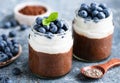 Chocolate chia pudding with greek yogurt and blueberries in jar Royalty Free Stock Photo