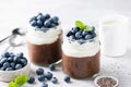 Chocolate chia pudding with yogurt and blueberries Royalty Free Stock Photo