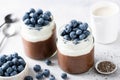 Chocolate chia pudding with yogurt layer and blueberries Royalty Free Stock Photo