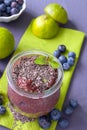 Chocolate chia seeds pudding. Royalty Free Stock Photo