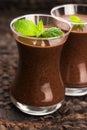 Chocolate chia seeds pudding Royalty Free Stock Photo