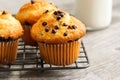 Chocolate chip Breakfast muffins close up Royalty Free Stock Photo