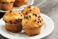 Chocolate chip Breakfast muffins close up Royalty Free Stock Photo